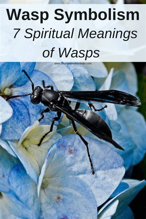 Decoding the Symbolic Meaning of a Wasp Nocturnal Sting on a Young Woman's Lower Limb