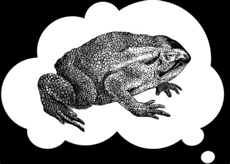 Decoding the Symbolic Messages of Croaking Frogs in Dreams