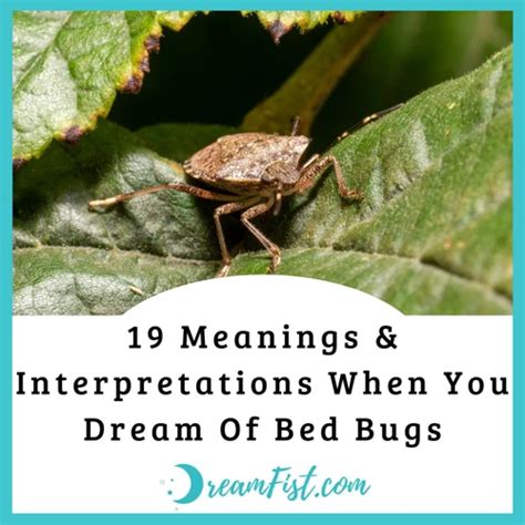 Decoding the Symbolism: Unraveling the Meaning of Bedbugs in Dreams