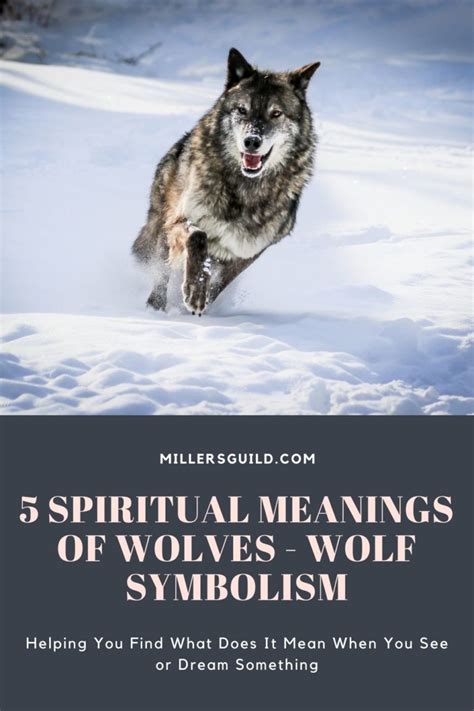 Decoding the Symbolism in Wolves’ Dreamscapes