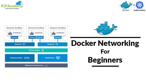 Defining and Configuring Docker Networks and Volumes