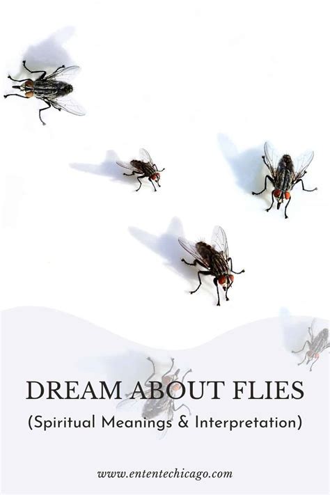 Determining the significance of fly behavior in the dream