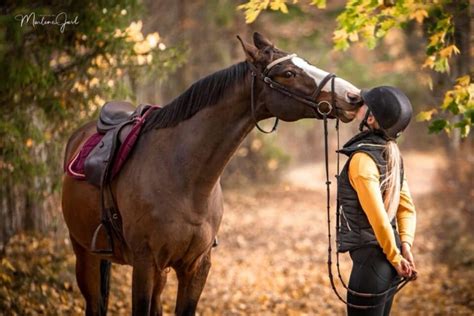 Developing Balance and Confidence: Enhancing Your Riding Skills Without a Saddle