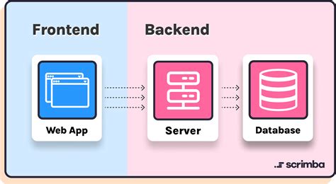 Developing the Backend and Database for the Application