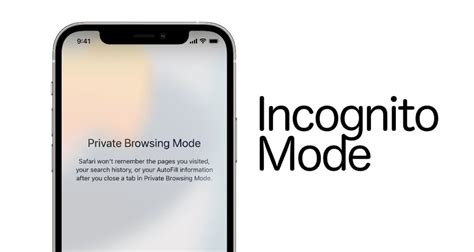 Differences Between Incognito Mode and Private Browsing in Safari iOS 15