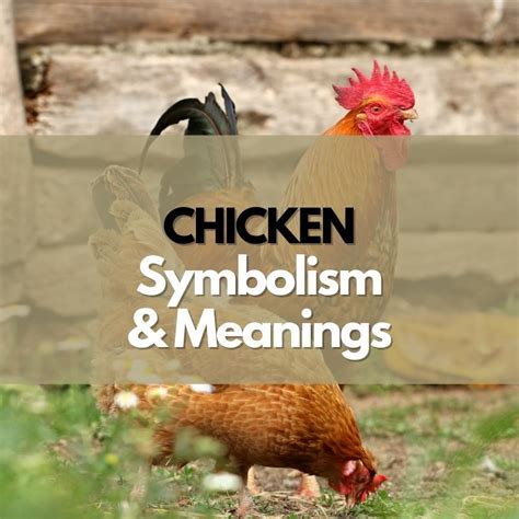 Different Meanings of Having a Vision of a Hen