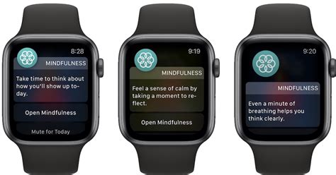 Disabling Mindfulness Alerts on your Apple Timepiece