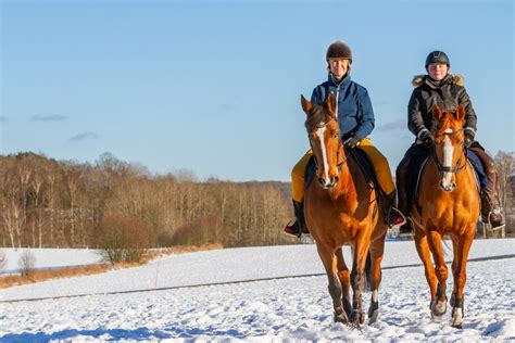 Discover the Magic of Horseback Riding