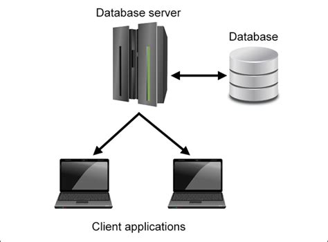 Discover the Power of the MySQL Database Server