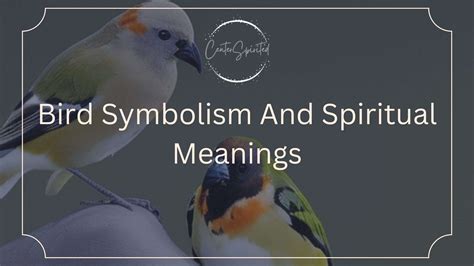 Discovering Freedom and Liberation: Uncovering the Emotional Resonance of Avian Dreams