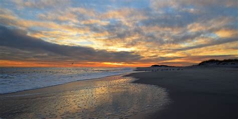 Discovering Heavenly Shorelines: Sunshine, Seashore, and Serenity