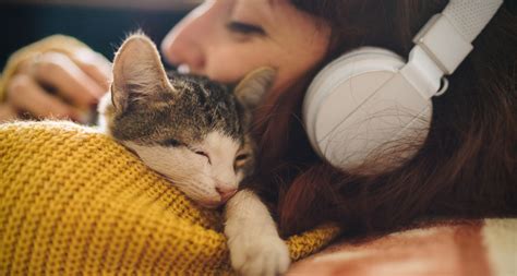 Discovering Life Lessons from Adorable Feline and Canine Companions