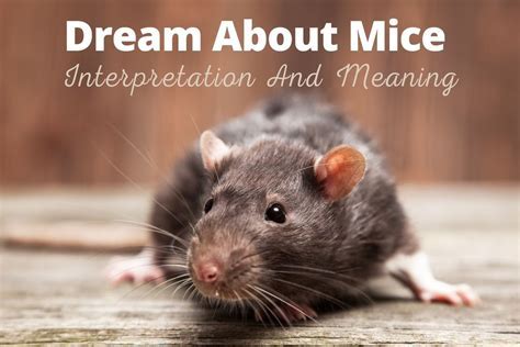 Discovering Practical Strategies for Interpreting and Reflecting on Dreams featuring Tiny Rodents