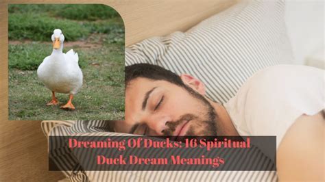 Discovering the Enigma behind Dreaming Duck's Inventive Conceptions