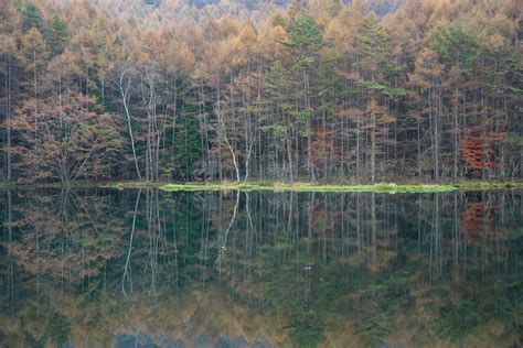 Discovering the Enigmas of the Reverie Pond