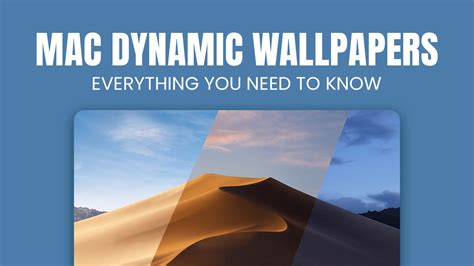 Discovering the Essence of Dynamic Wallpapers versus Static Ones