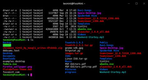 Discovering the Terminal: Exploring the Inner Workings of the Linux Command Line