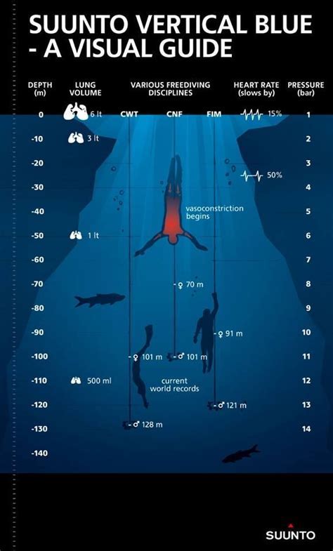 Diving into the Depths of the Subconscious: Analysis of the Enigmatic Dream Encounter