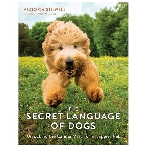 Dogs' daydreams: Unlocking the secret world of canine imagination