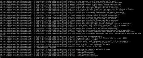 Downloading and Running RabbitMQ Container Image