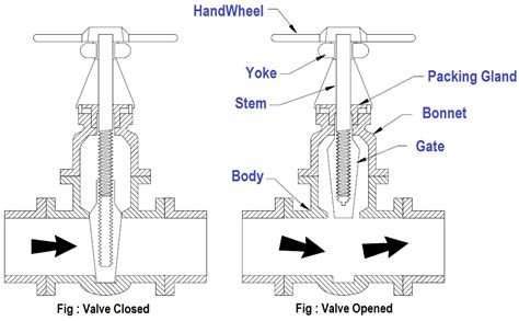 Drawing the stem and controls