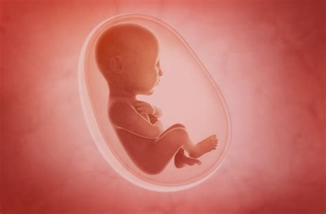 Dreaming about the Unborn: Insights into Future Predictions