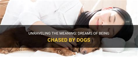 Dreaming of Being Chased by a Massive Canine: Decoding Its Significance