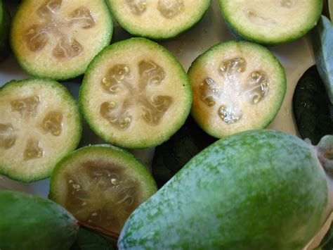 Dreaming of Feijoa: The Significance and Analysis of this Delicate Fruit