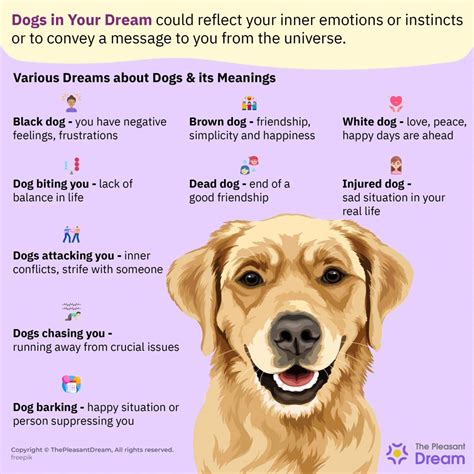 Dreaming of a Dog: A Sign of Good or Bad Fortune?