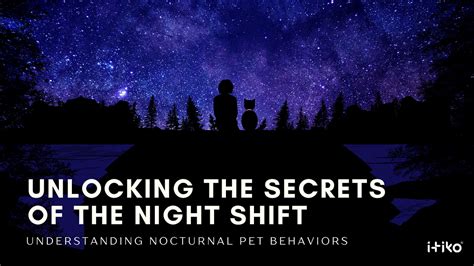 Dreaming or Just Twitching? Understanding the Nocturnal Activities of our Furry Friends