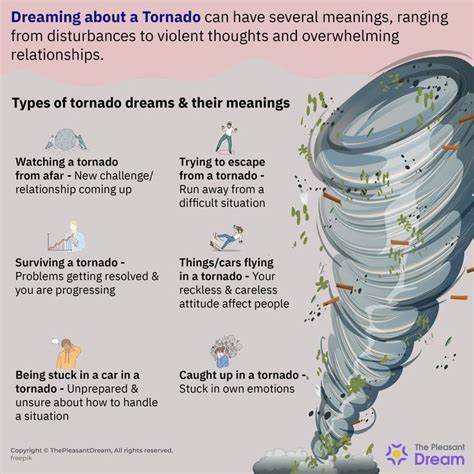 Dreams and Nightmares: Exploring the Psychological Impacts of Hurricanes and Tornadoes on Children's Sleep