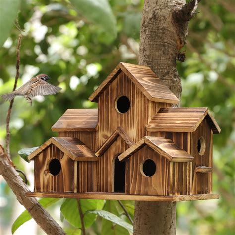 Ducking the Elements: Designing a Weather-Resistant Avian Shelter