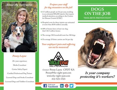 Educating Others: Spreading Awareness about Canine Injury Prevention