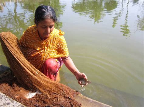 Education and Capacity Building Programs Empowering Women in Aquaculture