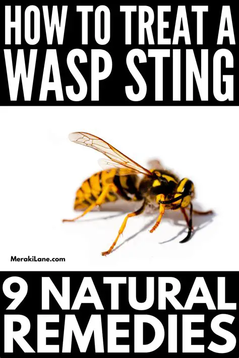 Effective Home Remedies for Alleviating Pain Caused by a Wasp Sting