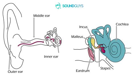 Effects of Malfunctioning Earbuds on Sound Quality