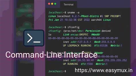 Efficiency and Simplicity: Discovering the Most User-Friendly Command Line Interface