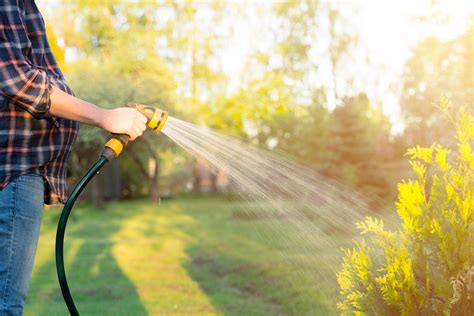 Efficiently Watering Your Garden: Maximizing the Potential of Your Garden Hose