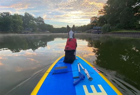 Embarking on an Imaginative Angling Adventure