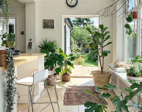 Embracing Nature Inside: The Emergence of Indoor Gardens