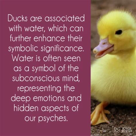 Embracing Transformation: Ducks and the Symbolism of Change