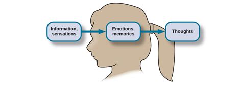 Emotions and Memories Arising from Initial Affection