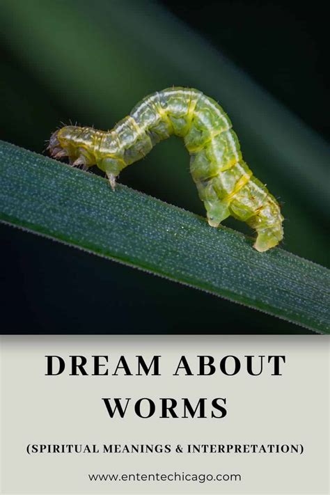 Empowering Women to Take Control and Transform Worm Dreams into Positive Realities