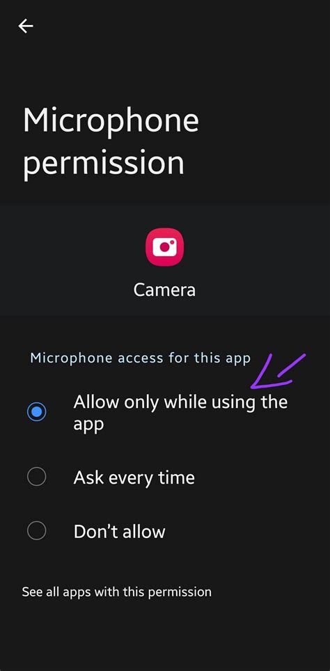 Enabling Mic Permissions for Third-Party Apps