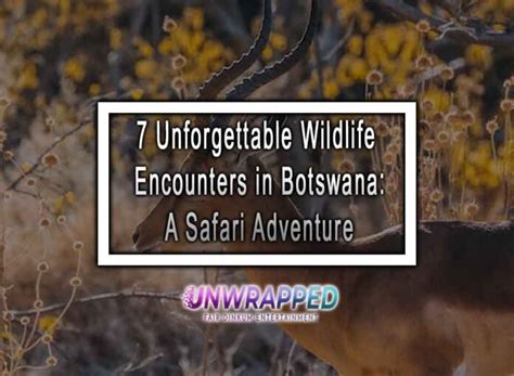 Encountering the Beast: Surviving an Unforgettable Wildlife Encounter