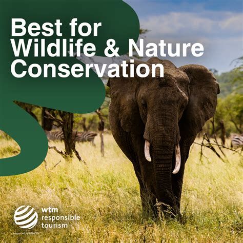 Encouraging a Sustainable Connection with Wildlife