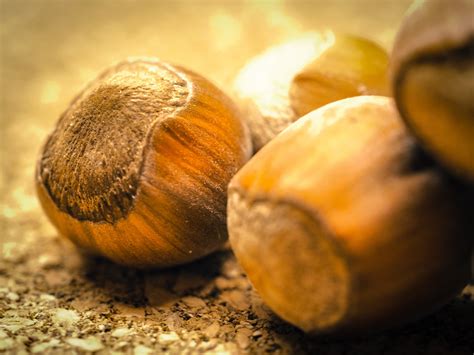 Enhancing a Healthy Lifestyle with Nutritious Chestnut Fruits