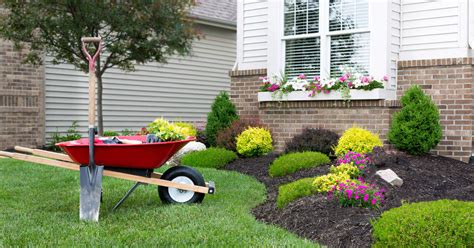 Enhancing the Aesthetic Appeal of Your Lawn with Landscape Design