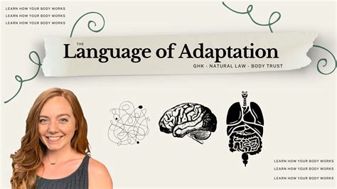 Enhancing the Quality of Your Language Adaptations