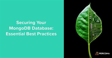 Ensuring MongoDB Database Security